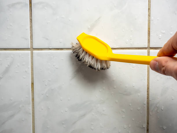 Best Home Mold Removal  in Elkhart, KS