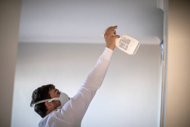 Best Black Mold Removal  in Elkhart, KS