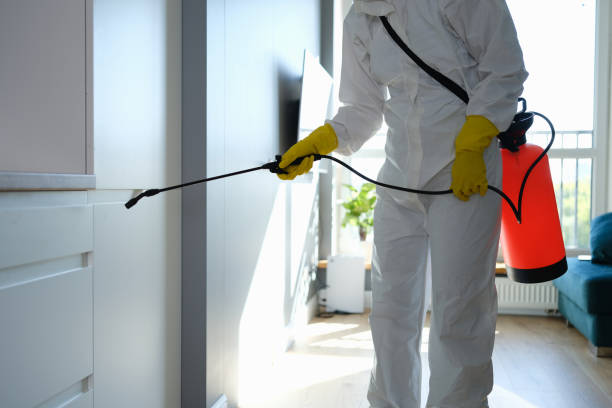 Best Toxic Mold Removal  in Elkhart, KS