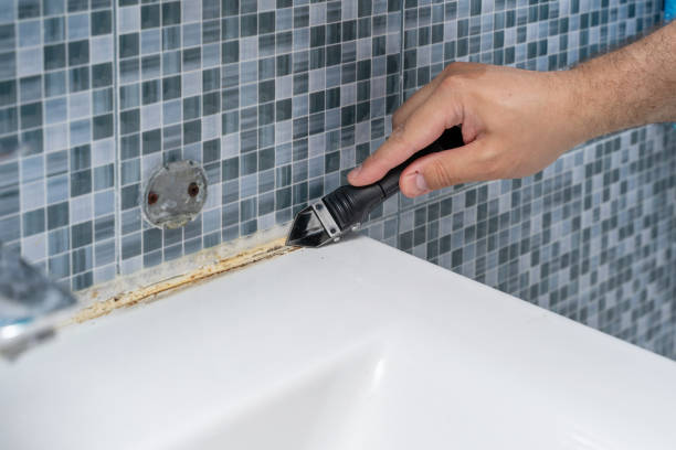 Best Mold Damage Repair  in Elkhart, KS