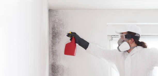 Best Emergency Mold Removal  in Elkhart, KS